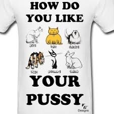 cat_t-shirt.jpg