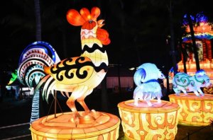 year_of_the_rooster_january_28_2017.jpg