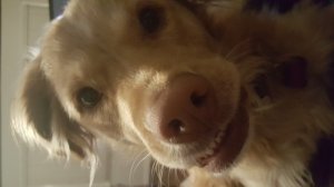 20170119_202441.jpg