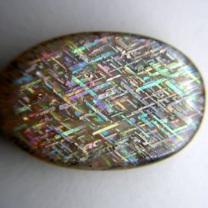 15873183_1825713101029722_5500.jpg
