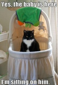 catandbaby.jpg