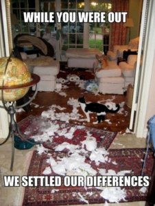 ifonlyitwerethateasywithhumans.jpg