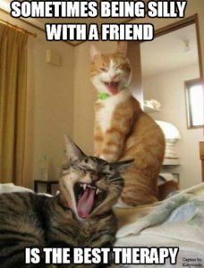 silly_friend.jpg