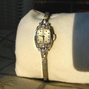 AW6072.JPG