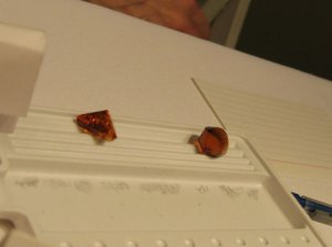 ncit2577.JPG