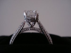 bella9280_image3.jpg