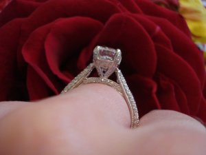 bella9280_image4.jpg