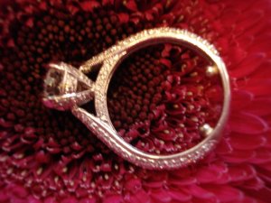 bella9280_image6.jpg