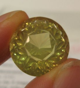 lemonoctafocus2515.JPG