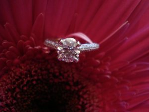 bella9280_image7.jpg