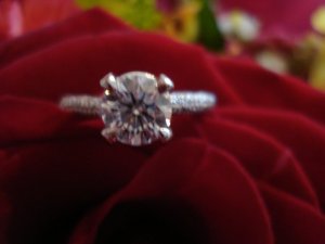bella9280_image8.jpg