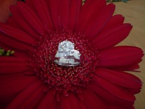 DSC02931-PS-16.JPG