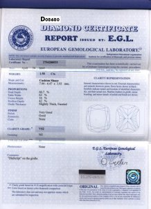 D08680_-_1_50_GVS2_Cush v2.JPG D08680_-_1_50_GVS2_Cush v2.JPG