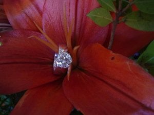 DSC02941-PS-18.JPG