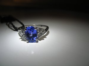 IMG_11833.jpg