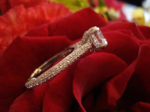 bella9280_image2.jpg