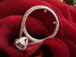 bella9280_image9.jpg
