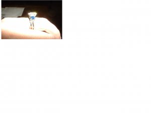 Picture 87804.jpg