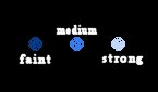 fluorescece image.jpg