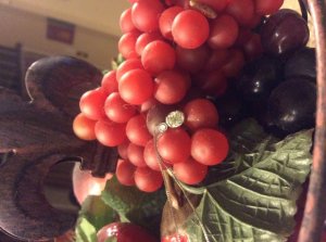 img_14961.jpg