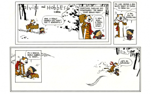 calvinandhobbesletsgoexploring.png calvinandhobbesletsgoexploring.png