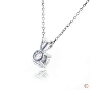 briangavin_basket_021417.jpg