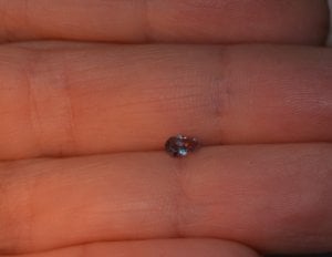 dsc_0082__2_.jpg