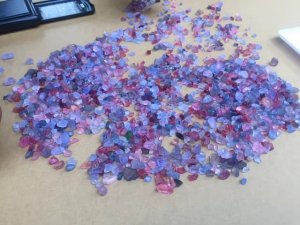 img_15244.jpg