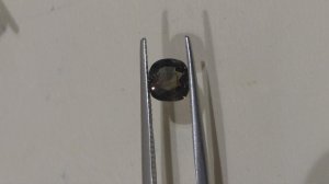 20170220_4.jpg