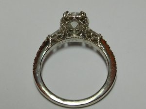 rscn5506.jpg