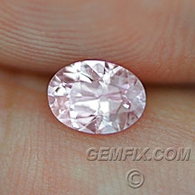 sapphire_pink_513_a.jpg