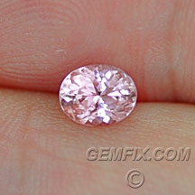 sapphire_pink_497_0.jpg