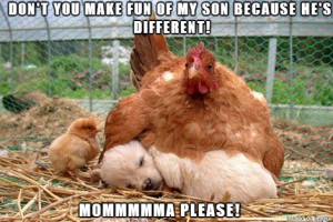motherhenloveknowsnobounds.png
