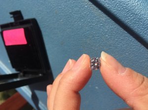 img_15275.jpg