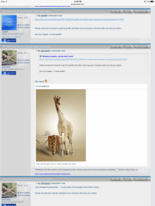 img_0129.png
