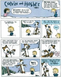 calvinandhobbesfallinginlove.jpg