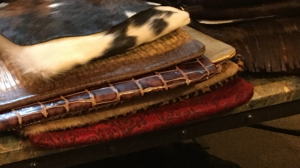 img_0455.png
