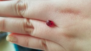 20170307_162130.jpg