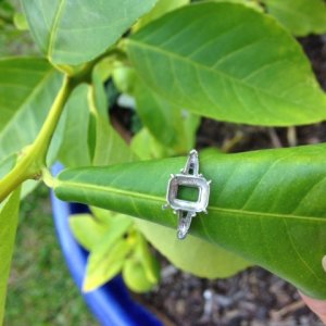 platinum_ring_setting_1.jpg platinum_ring_setting_1.jpg