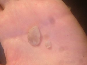 img_15622.jpg
