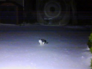 img_15637.jpg