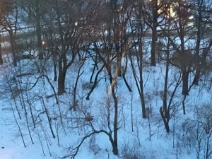 img_15638.jpg