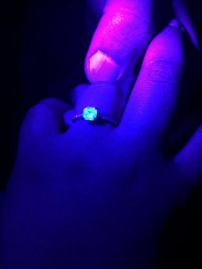 IMG_2487.JPG