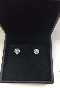 image1.JPG
