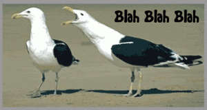 IMG_1801.GIF