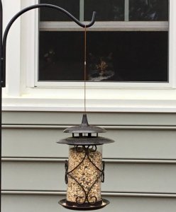 IMG_1868.JPG