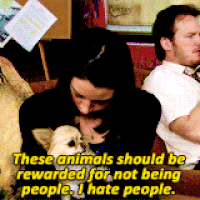 theseanimalsshouldberewardedfornotbeingpeople.gif