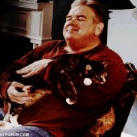 kitty.gif