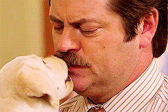 awww.gif