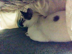 IMG_0473.JPG